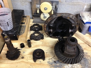 Disassembled Differential Carnage